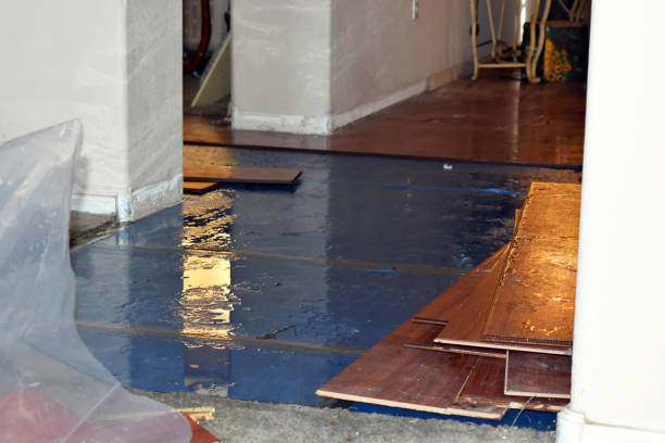 Professional Burst Pipe Cleanup technician working in Green, OR